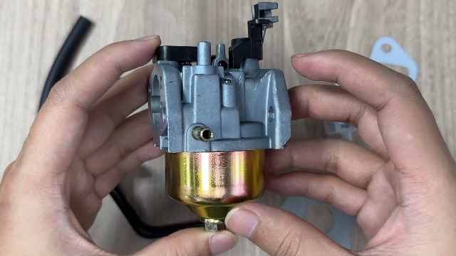 517JPc+MZsL.jpg